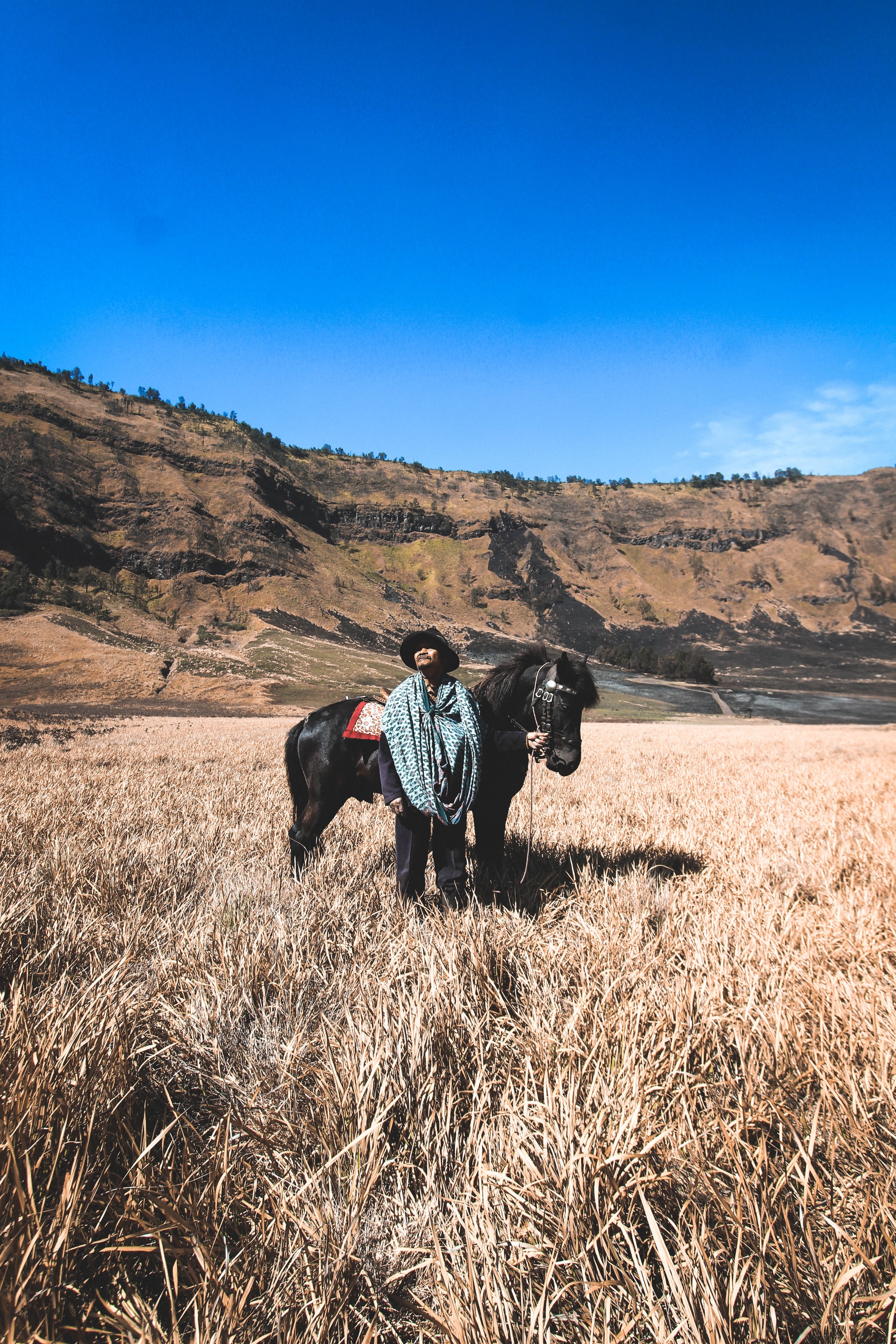 L’histoire du vieux paysan et son cheval